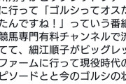 【悲報】　中川翔子さん、小説家のツイートにヘコむ・・・