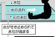 【悲報】キッズさん、水深10cmで溺れてしまう動物だった・・・