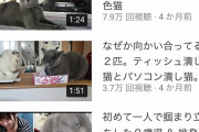 無防備なデカパイ嫁の動画を撮影してアップする夫wwwwwwwww