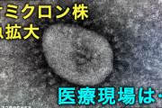 【訃報】オミクロン株に負けた俺の飲食店、現在がヤバイ・・・・・・・