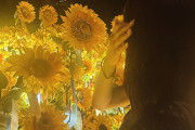【速報】Juice=Juiceさん、昨日は1日中メンバー全員で撮影！新曲ｸﾙ━━━━（ﾟ∀ﾟ）━━━━!!!!