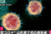 山形県で県内2例目の感染確認・新型コロナウイルス