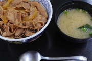 牛丼にスプーンはアリかナシか、決めようか