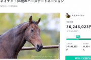 ナイスネイチャのバースデードネーションが過去最高の3600万円を突破！競馬板住人も寄付したよな？
