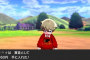 ポケモントレーナーの負けたら所持金の半額支払うという謎ルールｗｗｗｗｗｗｗｗｗｗｗ