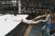 【悲報】女子プロレスラーさん、予想以上に激しかった（画像あり）