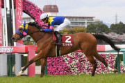 【競馬予想】第64回スワンステークス(G2)/2021