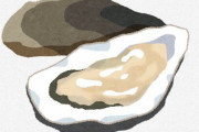 正直さ、生牡蠣食うより土手鍋やカキフライの方が美味しいよな？