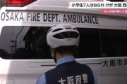 【悲報】男さん、小学生7人を車で撥ねてしまった結果・・・・