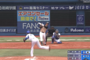 【速報】日ハム王柏融、2試合連続HRきたああああああああ