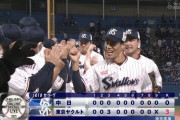 ヤクルト、10試合負けなし7連勝ｗｗｗｗｗｗｗｗ