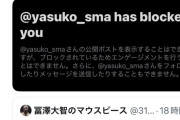 【画像】大人気芸人やす子さん、Xでブロックオリンピック開催中ｗｗｗｗｗ