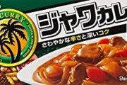 一番おいしい「カレールウ」ランキング！バーモントカレー、ジャワカレー、気になる1位は…