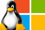 WindowsとLinuxをデュアルブートしようと思うんだがデメリットを教えてくれ