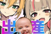 Vtuber りりむ、もしくはコウ、27歳説浮上ｗｗｗｗｗｗｗ