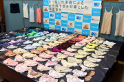 【展示会あり】女の子の下着を7枚盗んだキムラ、逮捕される