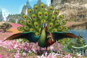【FF14】中国版FFXIVにて実装される新マウント「王孔雀」の実機画像が公開！ 他