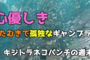 【橋下徹】ご報告）体温は概ね36度6分。平常に戻りました。喉の痛みもなくなりました。声援メッセージありがとうございました