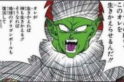ピッコロさん「オレは界王星ではるかに力を増した！必ずフリーザを倒してみせる！」