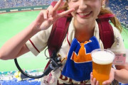 【悲報】野球場のお客さんはチアガールやビールの売り子にしか興味がない件ｗｗｗｗ