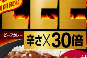 お前ら、LEE30倍カレーって覚えてる？ペヤングが激辛連発しまくってるおかげで完全に消えたよな