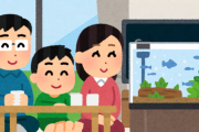 ワイ、アクアリウム始めてみたいのやが