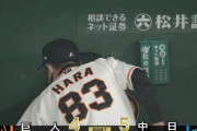 【謎】読売ジャイアンツさんが突如として大失速し始めた理由