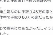 【悲画像】ゼクシィ「赤ちゃんが産まれた後の手取り？これぐらいやろw」→炎上