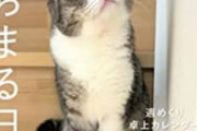 【悲報】猫YouTuber「もちまる日記」、猫アレルギーが判明