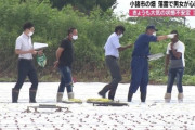 【長野】農作業中に落雷　外国籍の男女が心肺停止の状態…住民「尋常ではない雷だった」悪天候の中働かされていた？