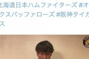 【超悲報】阪神さん「オリックス・バッファローズ」