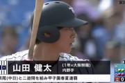 中日ファンの立教大1年山田健太、春に続いて秋も無双してしまうwwwww