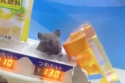 銀座の自販機に「つめたいネズミ１３０円」思った以上にかわいいｗｗｗ