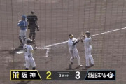 【vs阪神 練習試合】日ハム、2番手の谷川が大山にソロホームランを浴びて1点差に詰め寄られる
