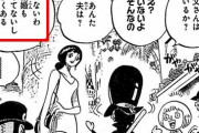 ワンピースのスパスパの実強すぎワロタｗｗｗｗ