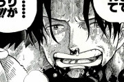 ワンピースのエースが死んだことが今じゃネタ扱いされてるけど連載当時は皆感動してたの?