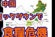 【緊急速報】中国で食糧危機始まる