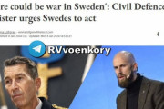 【緊急速報】スウェーデンが大規模戦争突入恐れ　ドイツが警告