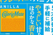 カロリーメイト「バニラ味」とかいうカロリーメイトのマンネリ化を救った革命児
