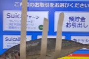 彡(ﾟ)(ﾟ)「あっATMやん！魚貼ったろ！」⇒逮捕