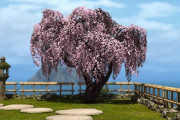 【FF14】これは全力で確保！プリンセスデー2026で「枝垂桜の木」のハウジング庭具が報酬と判明しハウジング勢歓喜！