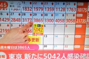 東京､新たに5042人が新型コロナに感染　ついに5000人を超えてしまう