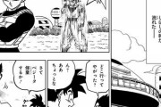 【ドラゴンボール】悟空「ベジータ！修行すっぞ！」サイヤ人の王ベジータ「ここじゃ近所迷惑だ 重力室に行くぞ」