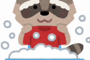 【悲報】わたあめを洗ってしまったアライグマさんの末路…
