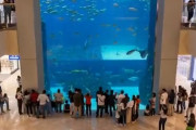 【動画あり】水族館の水槽のガラス割れる動画が怖すぎ