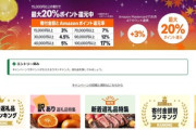 【悲報】ふるさと納税のポイント還元､今日で終わり