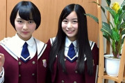 【乃木坂46】この2人、将来のWセンターやろなぁ...(画像あり)