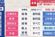 【悲報】消費税廃止、れいわ新選組だけ。おわりだよこの国
