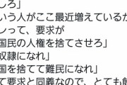 【悲報】ツイ民「ウマ娘アイコンで政治的ツイートしまくったろ！」←これ…