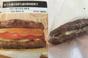 【画像】１４００円のハンバーガーを買った結果がコチラｗｗｗｗｗｗｗ